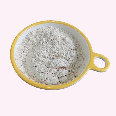 食品级素食蛋白粉 低过敏蛋白粉 大米蛋白粉85%