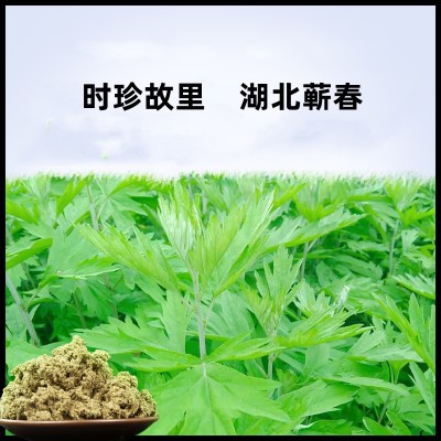 蕲珍宜草 湖北蕲春2道艾绒艾叶陈放陈年艾绒500g装 厂家批发图2