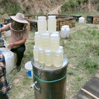 农家自产蜂蜜批发洋槐蜂蜜食用原蜜液态500g/1000g土蜂蜜图5