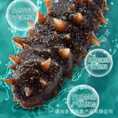 【海参工厂批发】大连即食海参 非干货 辽刺参即食海参礼盒 500g图2