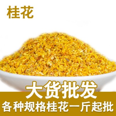 桂花茶 金桂花干桂花 桂花 八月广西桂花干 散装花茶批发厂家直销