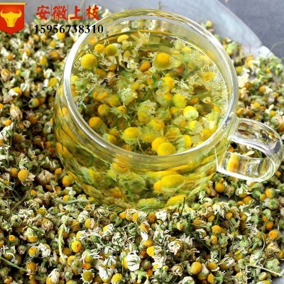 批发 洋甘菊 2020新货 洋甘菊 各种花茶批发 零售 上枝供应