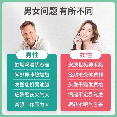 北京同仁堂内廷上用维生素B族 营养正品30gB1B2B6一件代发批发图3