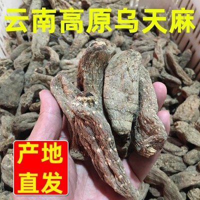 天麻云南昭通小草坝天麻整个天麻500g干天麻片可代磨粉