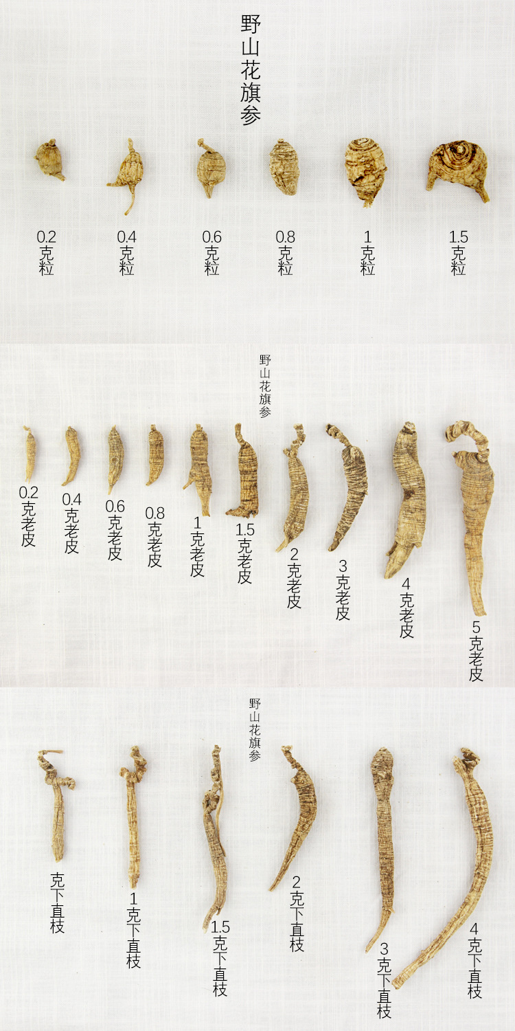 野山花旗参统一图