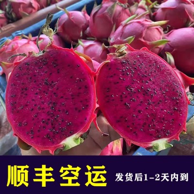 【顺丰空运】海南红心火龙果金都一号新鲜水果5斤