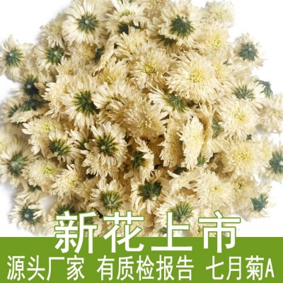 23年新花安徽白菊花散装批发500g七月菊产地货源厂家黄山贡菊花茶