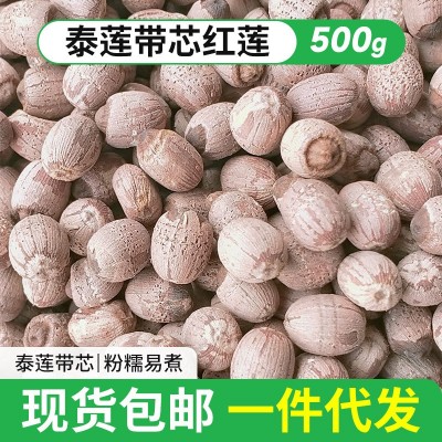 2023年散装新莲子干货 新泰莲带芯红莲500g 带芯红莲子干货农产品