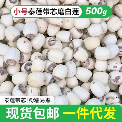 湘潭莲子干货新泰莲带芯小磨白莲500g带芯去皮莲子羹煲汤白莲子