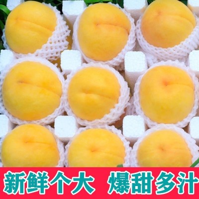 现摘新鲜黄桃5斤当季新鲜桃子水果毛桃大果孕妇应季脆甜锦绣黄桃