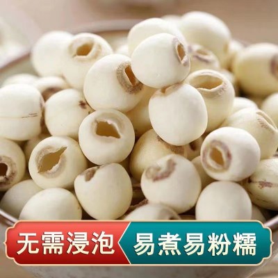 磨皮无芯白莲子干货500g新货小粒去芯磨皮白莲湘潭湘莲子批发图3