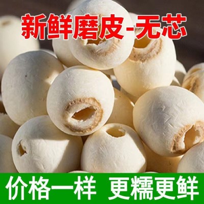 磨皮无芯白莲子干货500g新货小粒去芯磨皮白莲湘潭湘莲子批发图2