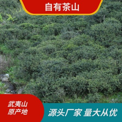 高山梅占金骏眉散装茶业批发直供原产地茶农图3