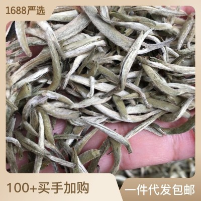 白毫银针 白茶散装单芽月光白散茶陈年银针福鼎银针白茶茶 叶批发图3