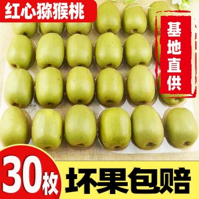 蒲江红心猕猴桃30个当季新鲜纯甜水果现摘泥猴桃奇异果弥猕猴大果