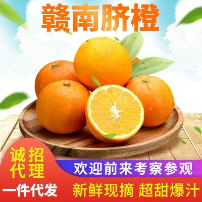 【产地直发】赣南脐橙脐橙新鲜水果现摘10斤甜橙赣州橙子批发