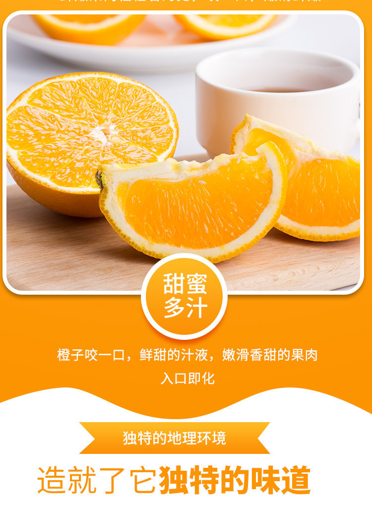 2橙子_07.jpg