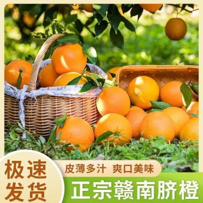 丰泉鲜果 正宗赣南脐橙当季应季新鲜水果整箱一件代发现货
