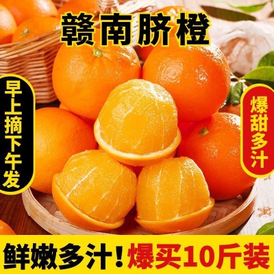 丰泉鲜果 正宗江西赣南脐橙橙子10斤新鲜水果当季整箱赣州产地直