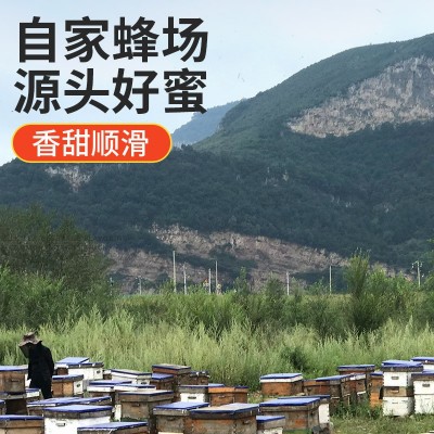 蜂蜜桶装批发75公斤洋槐百花蜂蜜土蜂蜜大桶散装食品原料蜂场直供图4