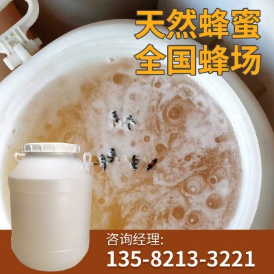 蜂蜜桶装批发75公斤洋槐百花蜂蜜土蜂蜜大桶散装食品原料蜂场直供图5