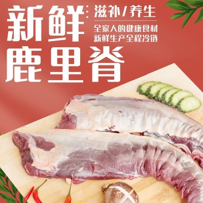 瑞宏鹿场批发新鲜梅花鹿里脊肉 鹿肉 带皮鹿肉一件代发招代理