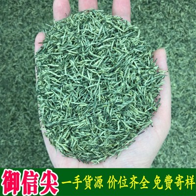 2023年新茶送礼云雾炒青散装绿茶茶叶批发信阳工艺御信尖毛尖茶图1