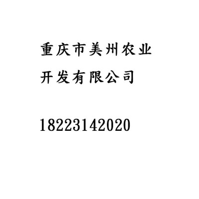 梨树果苗 嫁接脆冠梨果树苗 南方新品种 果树苗木批发图5