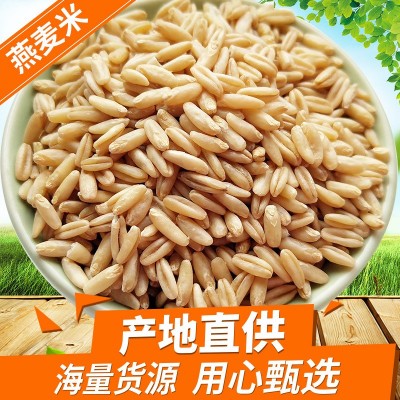 燕麦米 批发燕麦仁粒裸燕麦24.5kg新产莜麦雀麦八宝粥米原料杂粮