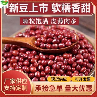 东北红小豆厂家批发大赤豆五谷杂粮原料现货红小豆一件代发 红豆