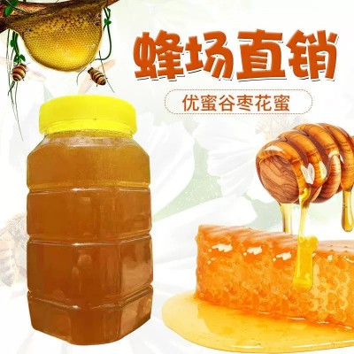 农家自产大枣花蜜花蜜低温洞藏蜜枣花蜂蜜纯蜂蜜现货批发源头工厂