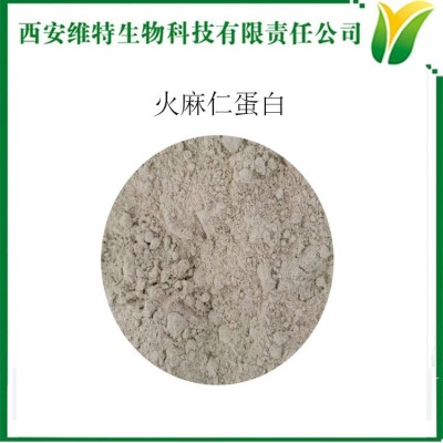 火麻仁蛋白 含量50% 代餐粉 Cannabis seed protein图2