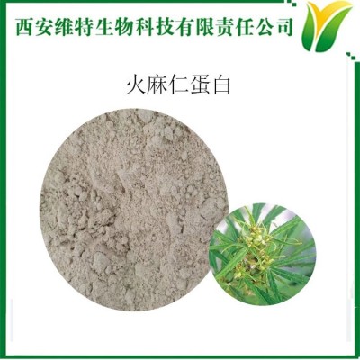 火麻仁蛋白 含量50% 代餐粉 Cannabis seed protein图3