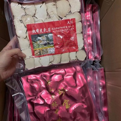 虎乳菌片约250g中片大片干货虎奶菌片 滋补一手货源批发招代理图2